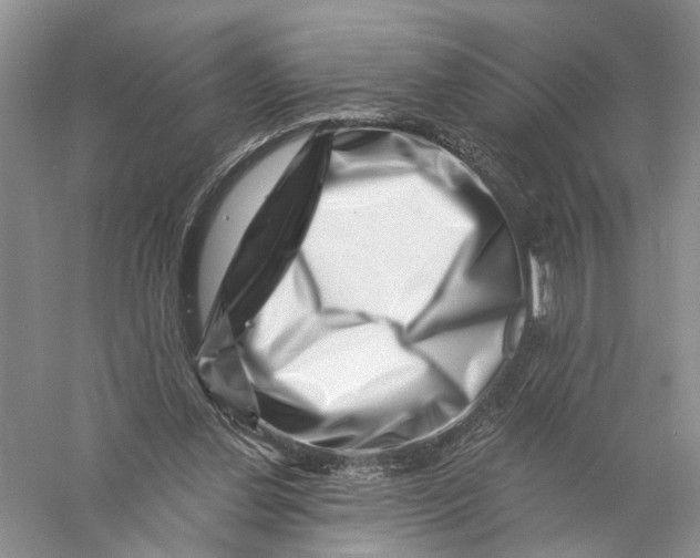 X0000056320252200509231954