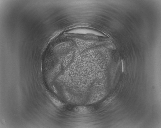 X0000056320253200509231954