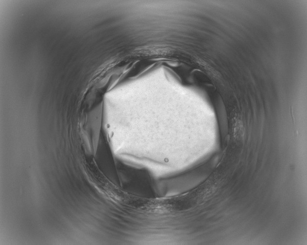 X0000056320254200509231954