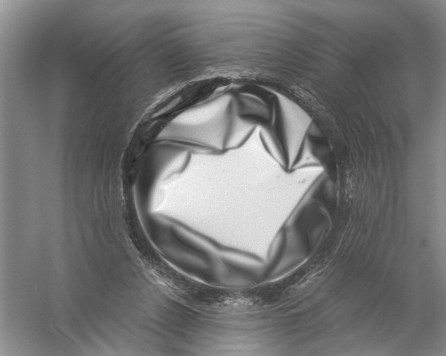X0000056320256200509231954