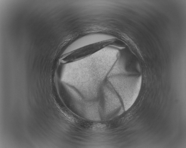 X0000056320257200509231954