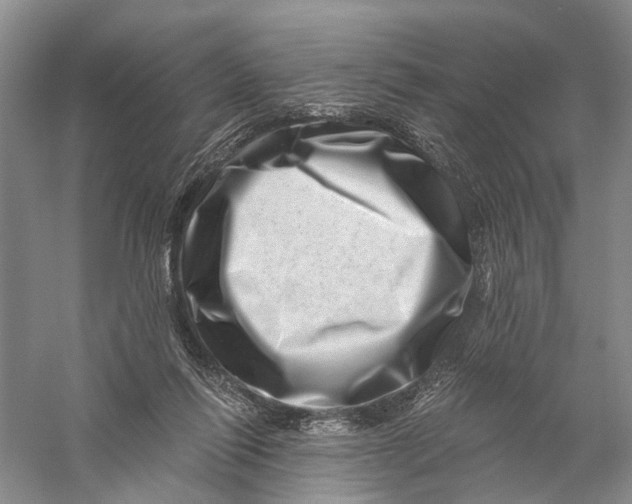 X0000056320262200509231954