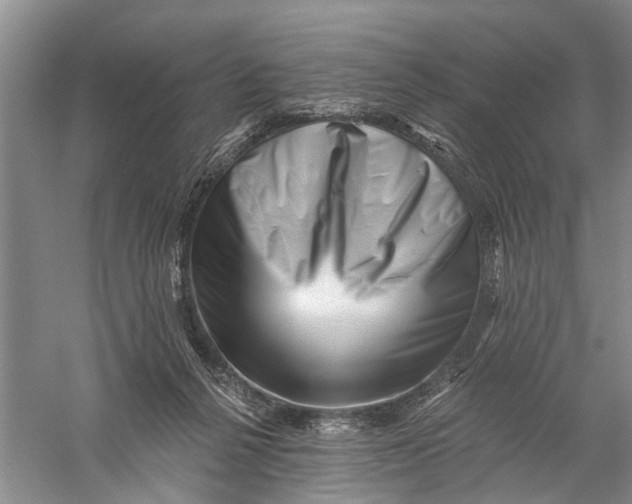 X0000056320264200509231954