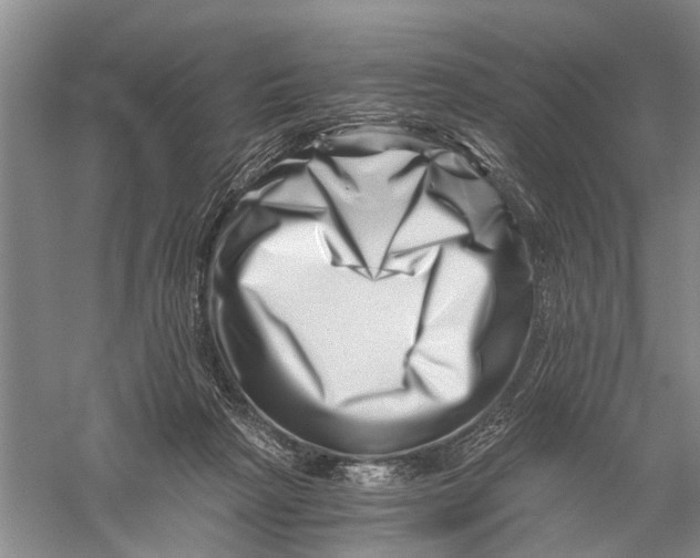 X0000056320265200509231954