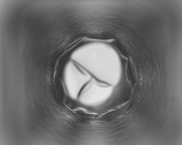 X0000056320268200509231954