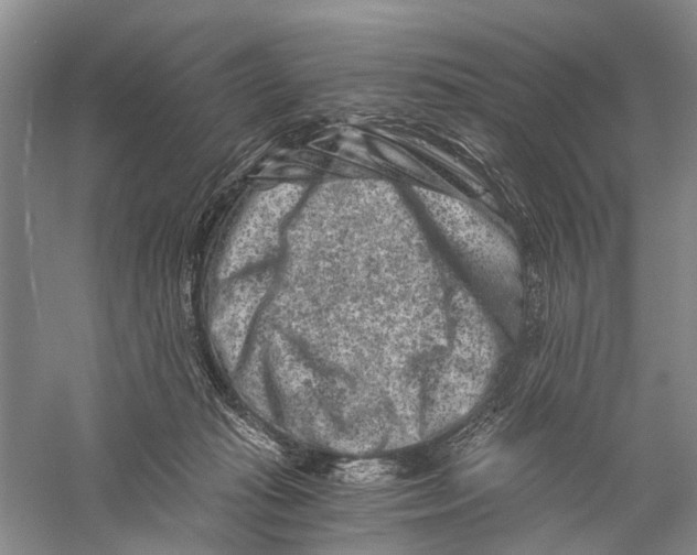 X0000056320269200509231954