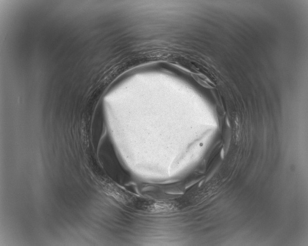 X0000056320270200509231954