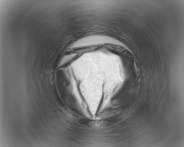 X0000056320273200509231954