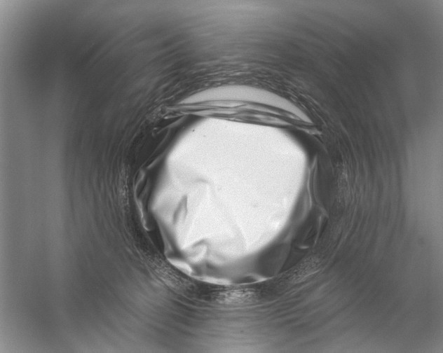 X0000056320274200509231954