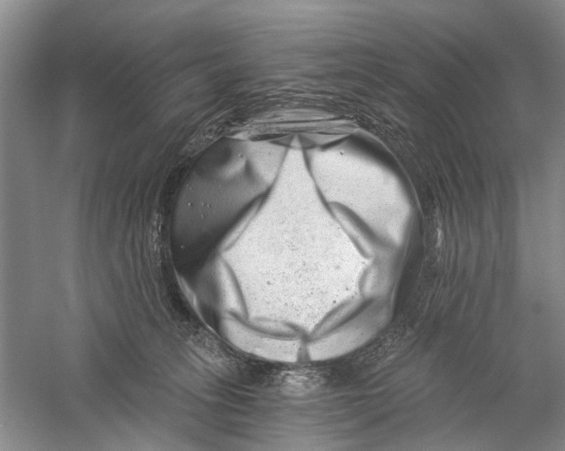 X0000056320275200509231954