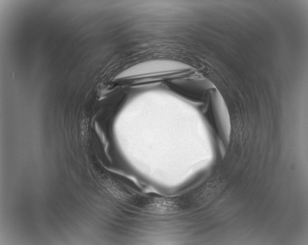 X0000056320278200509231954