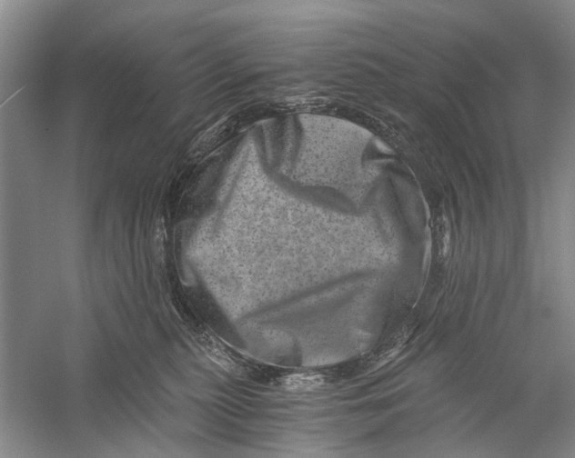 X0000056320279200509231954
