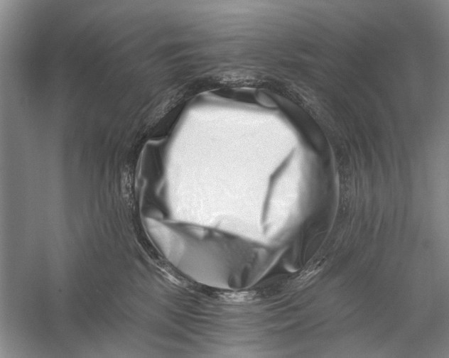 X0000056320281200509231954