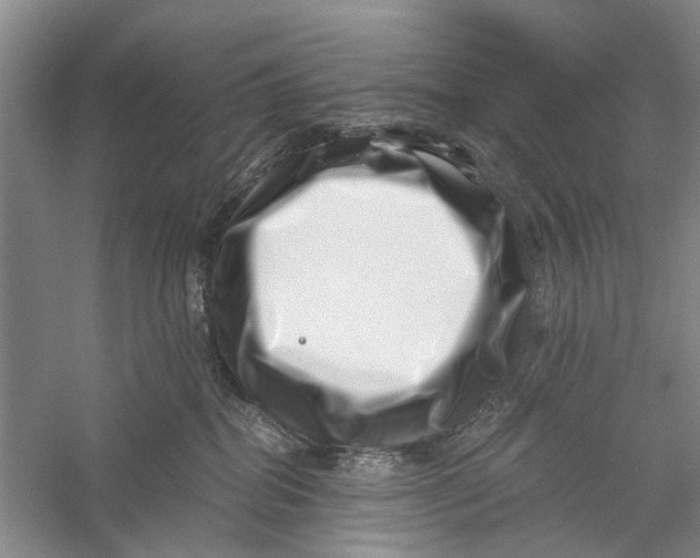 X0000056320282200509231954