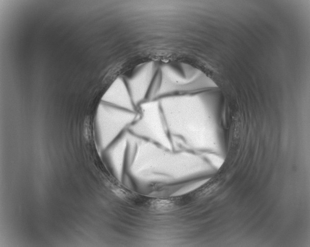 X0000056320287200509231955