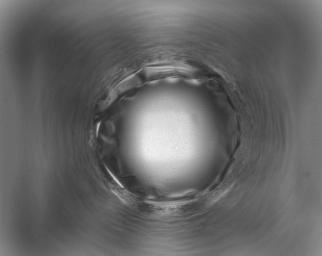 X0000056320288200509231955
