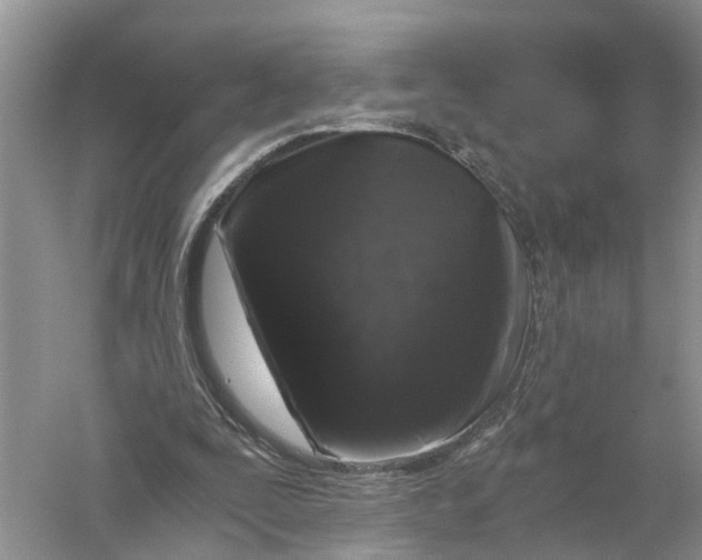 X0000056320295200509231954