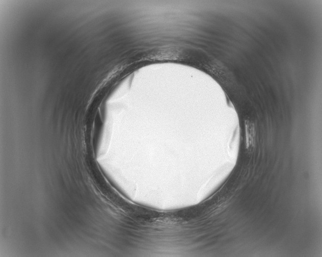 X0000056320300200509231954