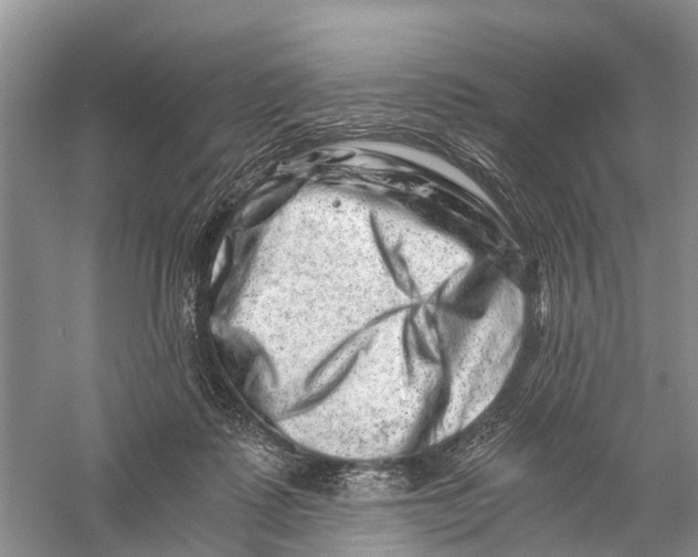 X0000056320315200509231953