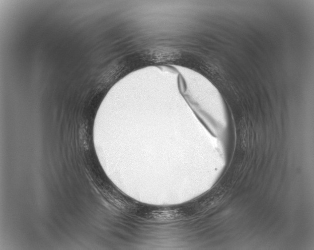 X0000056320316200509231953