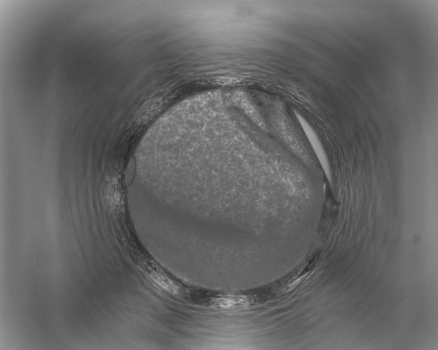 X0000056320317200509231953