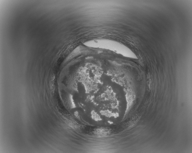 X0000056320319200509231953