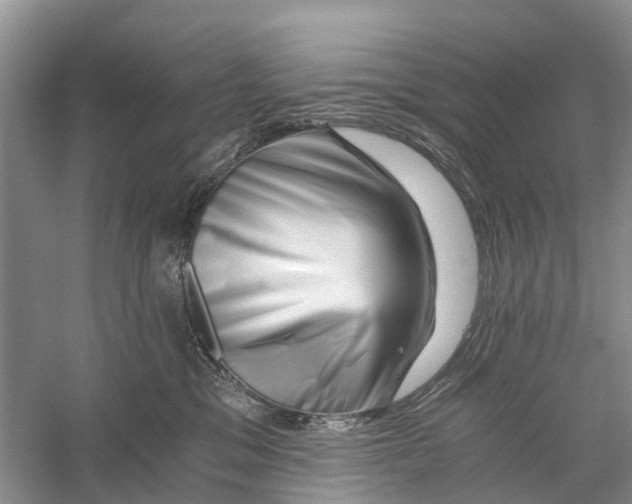 X0000056320329200509231953