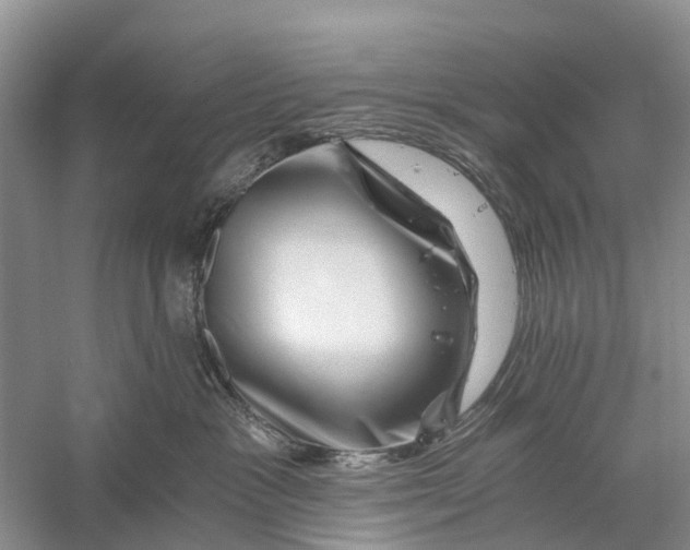 X0000056320333200509231953