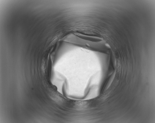 X0000056320334200509231953