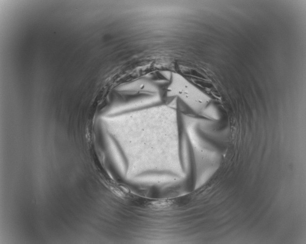 X0000056320335200509231953