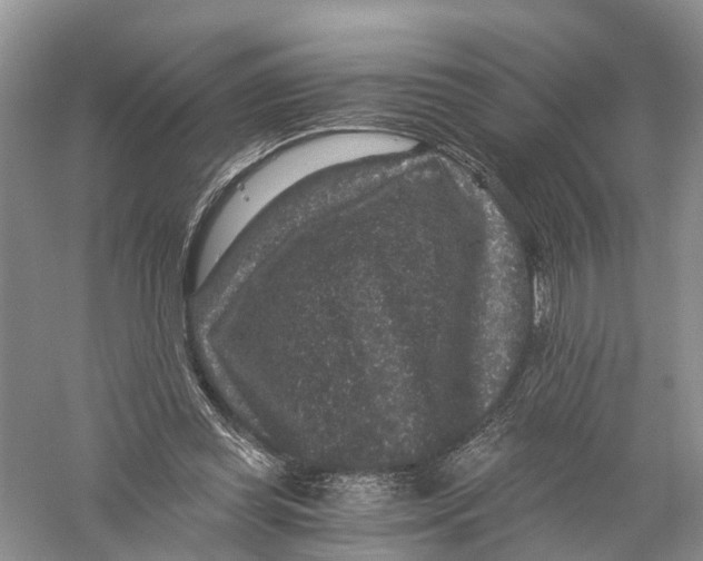 X0000056320349200509231952