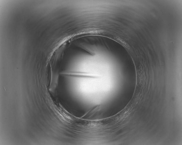 X0000056320350200509231952