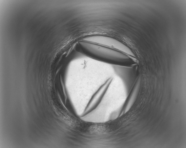X0000056320354200509231952