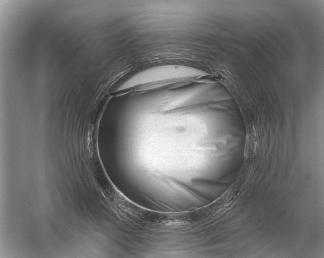 X0000056320360200509231953