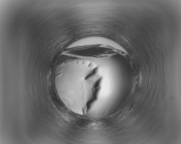 X0000056320364200509231953