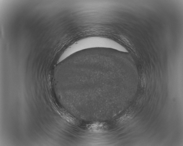 X0000056320366200509231953