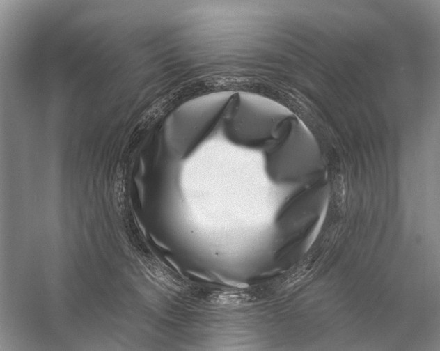 X0000056320372200509231953