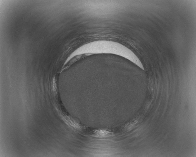 X0000056320380200509231953