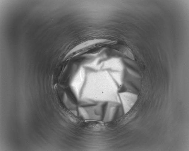 X0000056320384200509231953