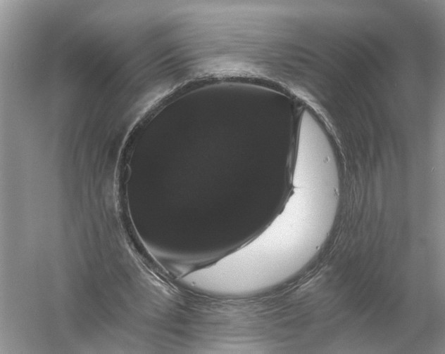 X0000056320391200509231952