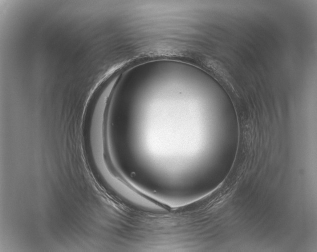 X0000056320395200509231952