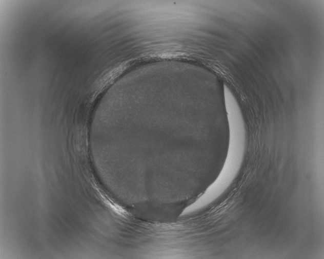 X0000056320397200509231952