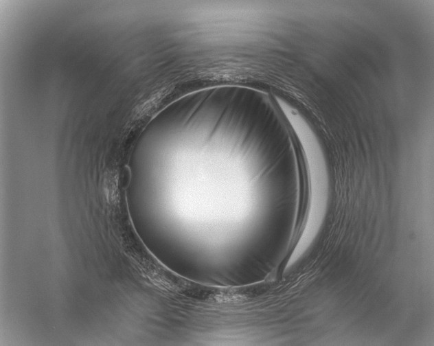 X0000056320403200509231952