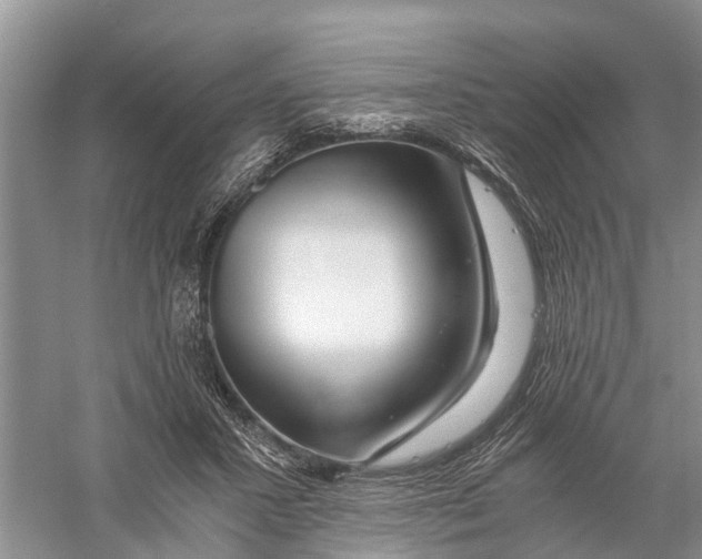 X0000056320407200509231952
