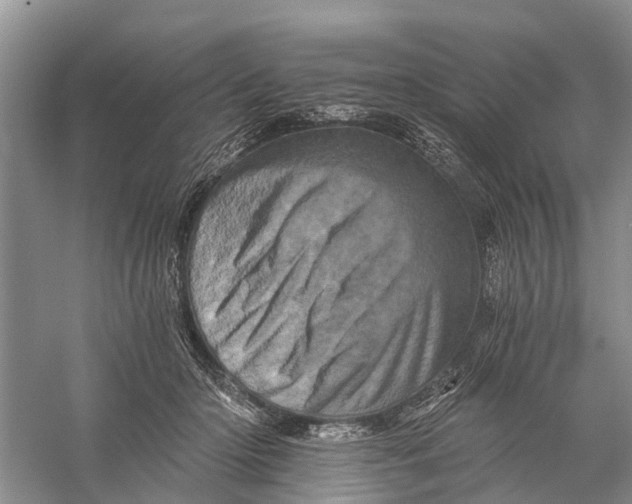 X0000056320414200509231952