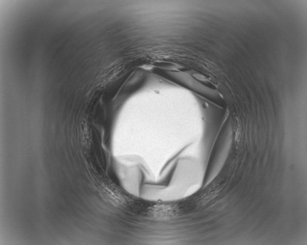 X0000056320418200509231952