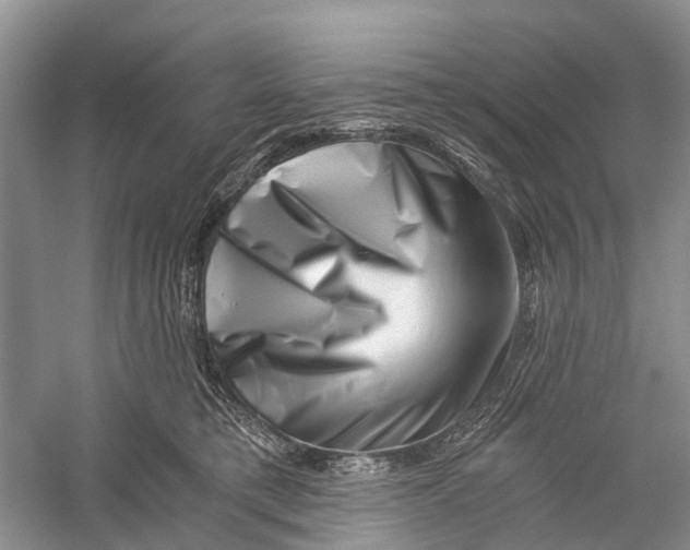 X0000056320421200509231951