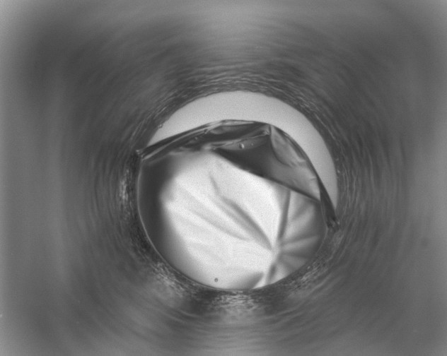 X0000056320424200509231951