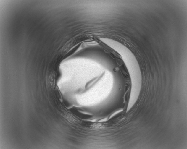X0000056320425200509231951