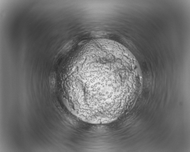 X0000056320427200509231951